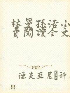 林曼孙浩小说免费阅读全文最新章节