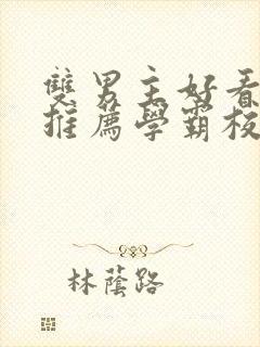 双男主好看小说推荐学霸校霸文