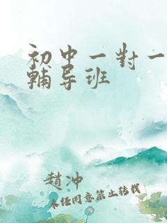 初中一对一地理辅导班