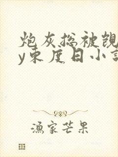 炮灰总被觊觎by东度日小说免费阅读