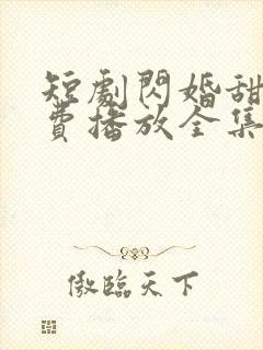 短剧闪婚甜妻免费播放全集