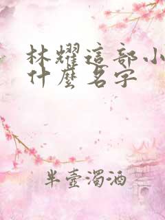 林耀这部小说叫什么名字