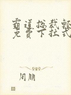 霸道总裁轻轻爱免费下拉式漫画