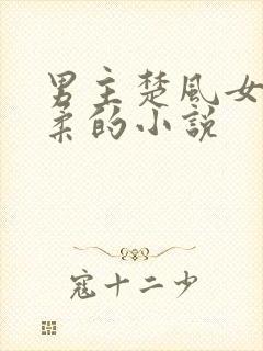 男主楚风女主苏柔的小说