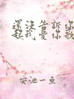 还没告诉你对不起我爱你歌词