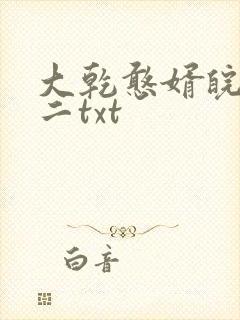 大乾憨婿皖南牛二txt