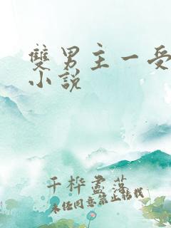 双男主一受多攻小说