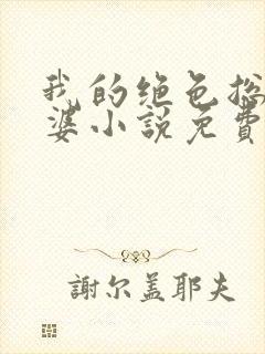 我的绝色总裁老婆小说免费阅读