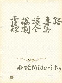 霍总追妻路漫漫短剧全集