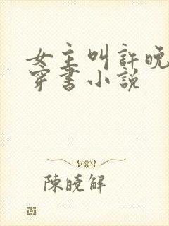 女主叫许晚宁的穿书小说