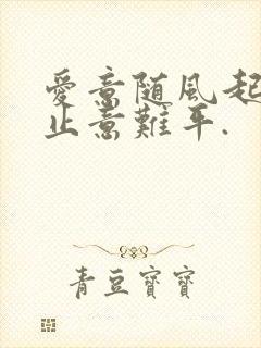 爱意随风起,风止意难平.