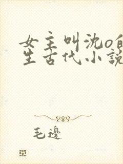 女主叫沈o的重生古代小说