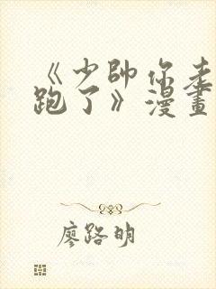 《少帅你老婆又跑了》漫画