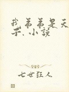 我弟弟是天选之子. 小说