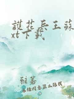 护花兵王苏南txt下载