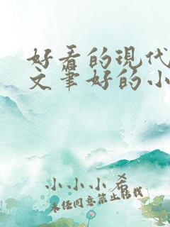 好看的现代言情文笔好的小说