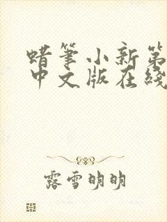 蜡笔小新第十季中文版在线观看