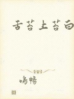 舌苔上苔白厚腻