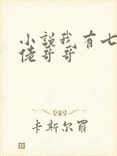 小说我有七个大佬哥哥