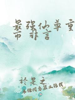 最强仙尊重生都市 非言