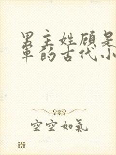 男主姓顾是个将军的古代小说