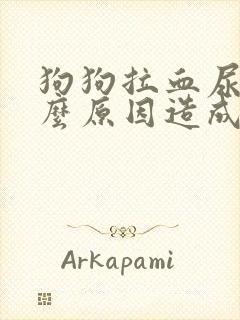 狗狗拉血尿是什么原因造成的