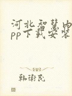 河北智慧内保app下载安装