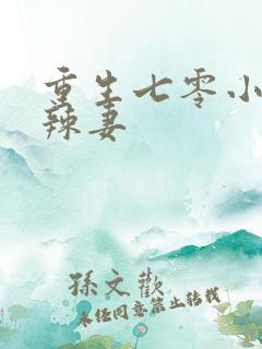 重生七零小辣媳辣妻