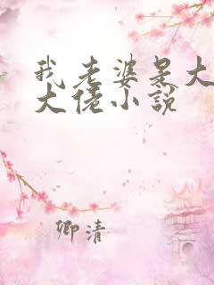 我老婆是大乘期大佬小说
