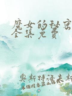 魔女的秘密契约全集免费