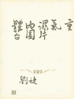 体内湿气重的舌苔图片