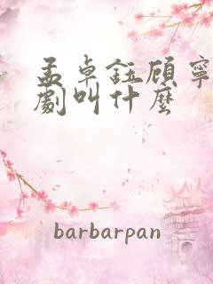 孟卓钰顾宁辰短剧叫什么