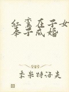 红鸾在子女宫 奉子成婚