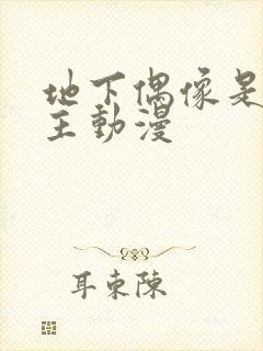 地下偶像是双男主动漫