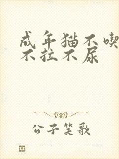 成年猫不吃不喝不拉不尿