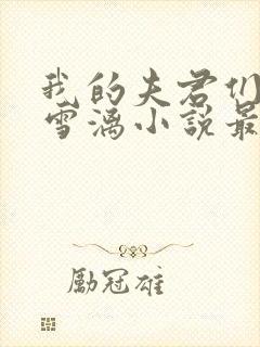 我的夫君们by雪漓小说最新章节