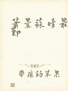 萧晨苏晴最新章节