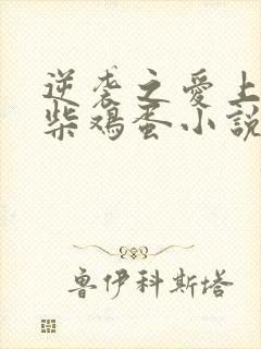 逆袭之爱上情敌柴鸡蛋小说原文免费阅读