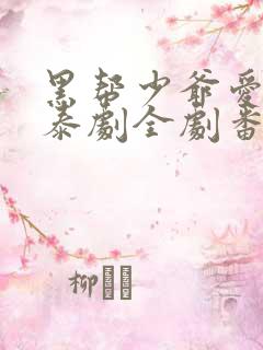 黑帮少爷爱上我泰剧全剧番外