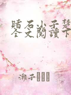 赌石小子楚天翔全文阅读下载