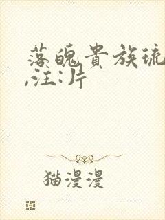 落魄贵族琉璃川,注:片