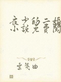 夜少的二婚新妻小说免费阅读全文
