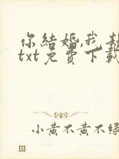你结婚,我劫婚txt免费下载
