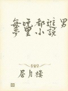 每晚都进男神的梦里小说