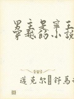 男主是宁王女主穿越的小说