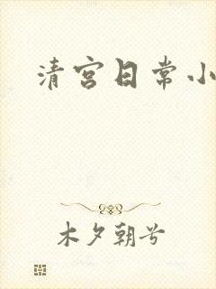清宫日常小说
