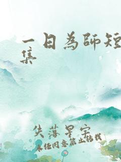 一日为师短剧全集