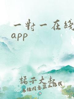 一对一在线辅导app