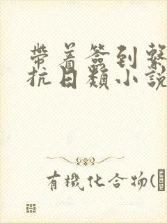 带着签到系统去抗日类小说