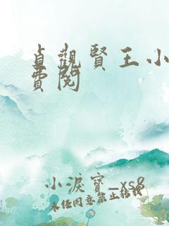 贞观贤王小说免费阅